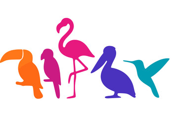 Colorful silhouettes of tropical birds showcasing diversity and beauty in nature