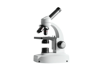 A white, upright compound microscope on a black background, side view