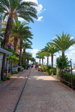 Seaside terrace promenade with palm trees and blue sky in Chatan, Okinawa, Japan / 沖縄・北谷の海沿いテラス遊歩道、両サイドにヤシの木と青空