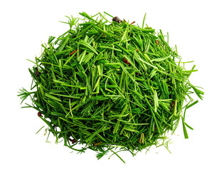 A dense pile of finely chopped, vibrant green plant matter, top-down view