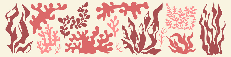 Marine coral and seaweed organic silhouettes with flowing underwater plants and branching formations in pink and red colors. Aquatic vegetation of kelp fronds, reef structures and sea grass.