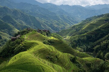 Fototapeta premium Terraced rice fields on green mountain landscape