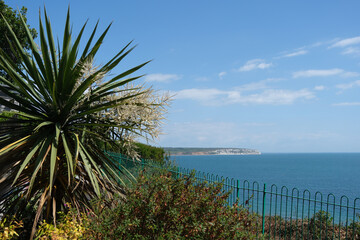 Coastline of the Isle of Wight. View east from Shanklin.
