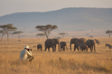 Wildlife Photographer Photographing a Herd of Elephants on African Safari