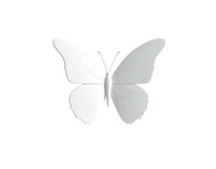 A symmetrical, grayscale butterfly with detailed wings against a black background