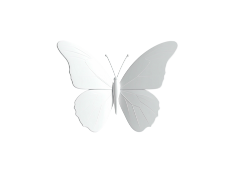 A symmetrical, grayscale butterfly with detailed wings against a black background
