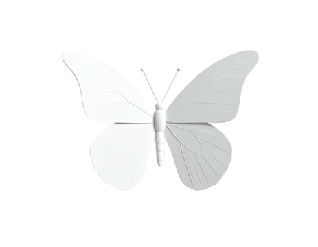 A white, symmetrical butterfly illustration, wings spread against a black background