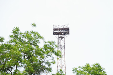 Tall metal observation tower rises above green treetops against a bright sky. The rusted structure with a platform and ladder suggests industrial, utility, or watchtower use.