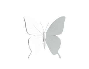 An elegant, white butterfly illustration with softly shaded wings, on a black background