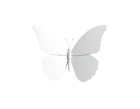 A symmetrical, all-white butterfly graphic against a solid black background