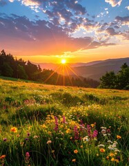 Vibrant sunset over a flower meadow