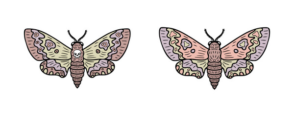 Realistic hawk moth butterfly doodle clip art collection. Perfect for banner, poster, logo, sticker, label, sale. Hand drawn vector illustration.