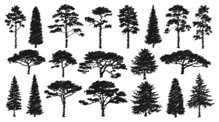 Fototapeta premium Diverse Tree Silhouette Collection Black Botanical Icons for Nature, Landscape, and Design Projects