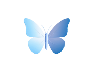 A serene, translucent blue butterfly with a delicate, minimalist design on black