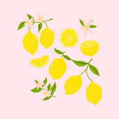 hand drawn lemons doodle illustrations