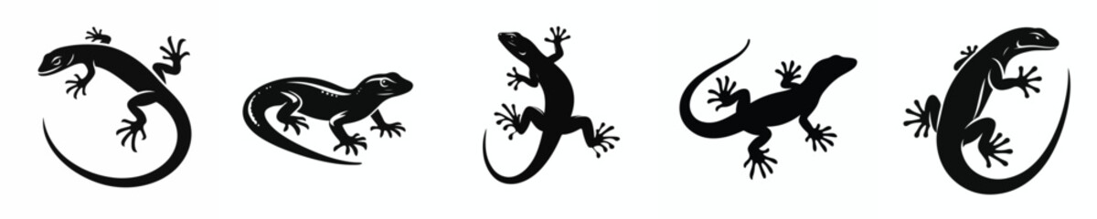 vector black and white silhouette of a house lizard
