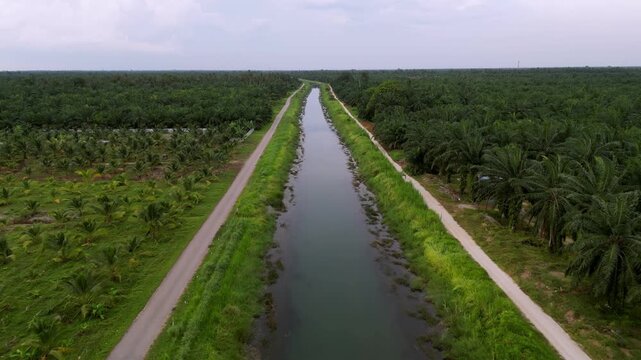 A road runs alongside a river. The road is lined with trees. A car is driving down the road. Aerial view Pantai Parit Hailam, Batu Pahat