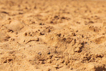 Sandy terrain spreads across the ground, reflecting sunlight in a coastal area. The fine grains create a warm, inviting landscape perfect for relaxation and recreation