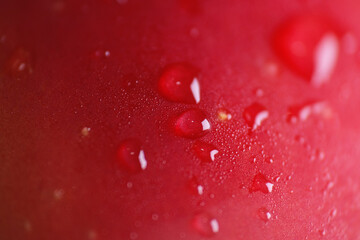 Macro shot of water droplet on cold apple fruit
