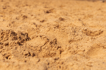 Fine grains of sand cover the ground, creating a smooth texture under the bright sun. This sandy area reflects a warm and inviting atmosphere, perfect for beach activities