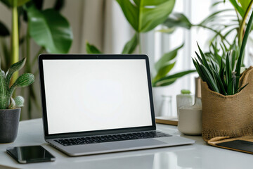 Fototapeta premium A clean desk features a laptop with a blank screen, alongside potted plants, creating a serene working environment filled with natural light