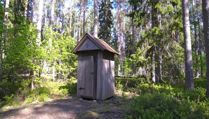 Forest Outbuilding