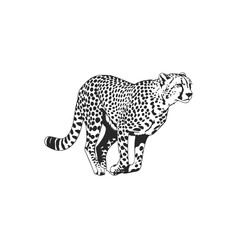 Dynamic Cheetah Running Silhouette Vector Illustration.