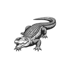 Fierce Alligator Illustration with Sharp Teeth and Scales.