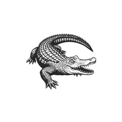 Obraz premium Fierce Alligator Reptile Illustration.