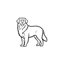 Happy Golden Retriever Dog Line Art Illustration.