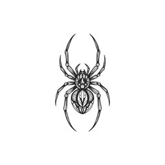 Intricate Black and White Spider Illustration.