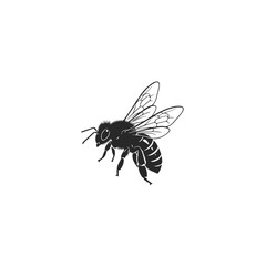 Obraz premium Silhouette of a Flying Honey Bee Insect.