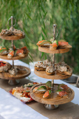 Outdoor buffet with wooden stands displaying assorted canapés topped with salmon, avocado, and spreads beside sliced meats and cheese
