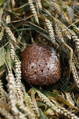 Bread loaf nestled among wheat stalks in a natural outdoor setting.