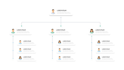 Corporate organizational structure of a business company. Modern simple hierarchy design in the company. Boss and subordinates, avatar icons. Infographics, corporate tree