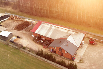 Livestock farm with dairy cows and pasture
