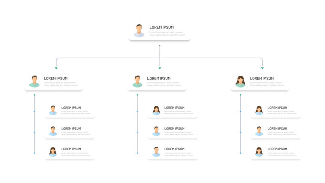 Corporate organizational structure of a business company. Modern simple hierarchy design in the company. Boss and subordinates, avatar icons. Infographics, corporate tree