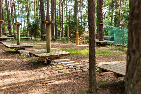 A forest adventure course features wooden platforms connected by rope walkways. The serene setting includes tall trees and natural surroundings, perfect for outdoor fun
