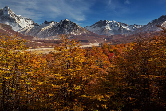 Fototapeta Autumn in mountains