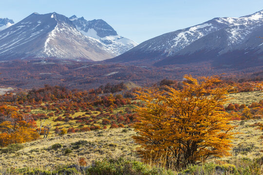 Fototapeta Autumn in mountains