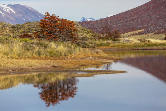 Fototapeta Autumn in mountains