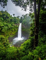 Hidden waterfall amid lush jungle and cliffside..