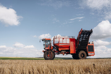Fototapeta premium Beet harvester is on the agricultural field at daytime