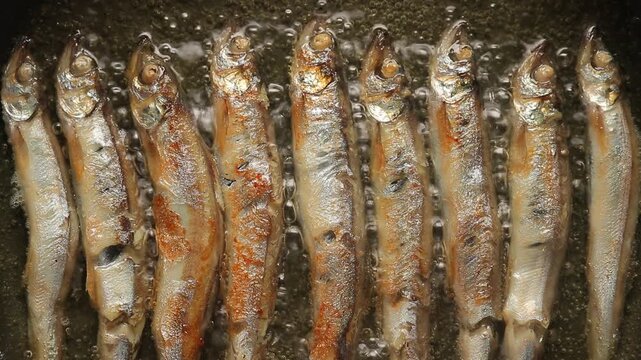 Shishamo or capelin fish frying in hot oil on a pan.