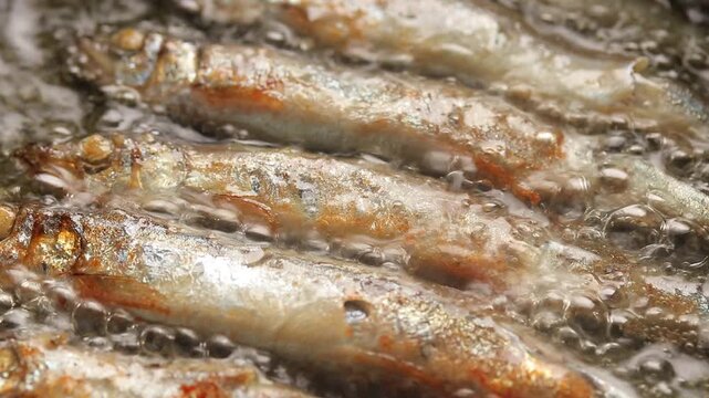 Shishamo or capelin fish frying in hot oil on a pan.