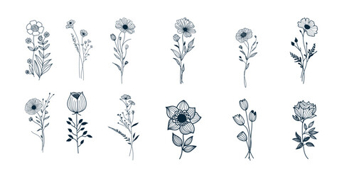 hand drawn flowers bouquet wildflowers set botanical floral vector illustration