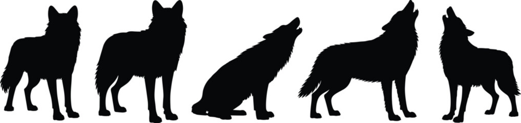 Set of wolf silhouettes in different poses, standing and howling wolves collection, wild animal illustration, isolated on white background