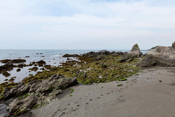 長井海の手公園 ソレイユの丘の海岸の岩場
