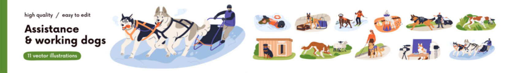 Assistance and working dogs at service set. Rescue, guide, guard, farm and safety canine animals. Brave trained shepherds, sheepdogs assistants. Flat vector illustrations isolated on white background