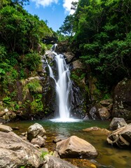 Lush forest waterfall flows over rocks, into pool!